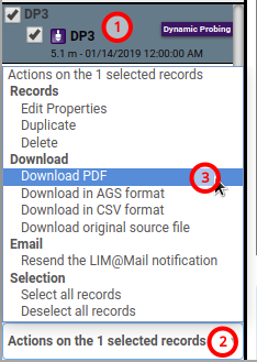 PDF report of dynamic probing